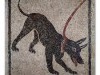 Animaux de compagnie en Italie