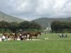 Les jardins de Caserta