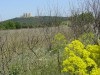 Castel del Monte