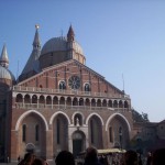 cathedralePodavaAS