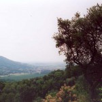 collich