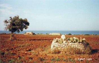 Gargano dans les Pouilles