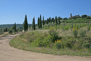 routes de Toscane