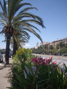 via Roma à Cagliari