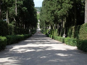 Allée de cyprés du jardin de Boboli à Florence