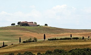 paysages des Crete Senesi