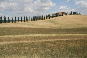 Paysages du Val d'Orcia