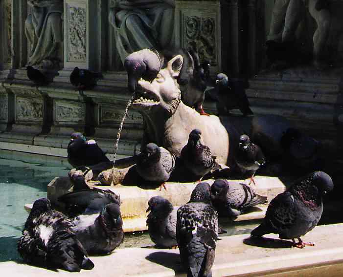 fontaine Gaïa à Sienne