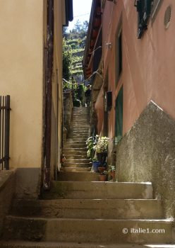 Manarola