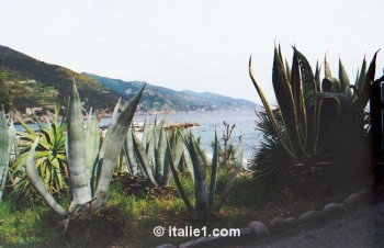 monterosso al mare