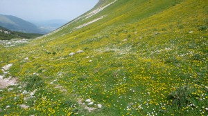 Monti della Meta dans les Abruzzes