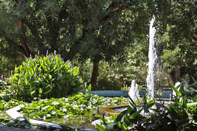 orto botanico de Cagliari