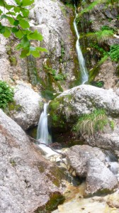 Camosciara et lac de Barrea