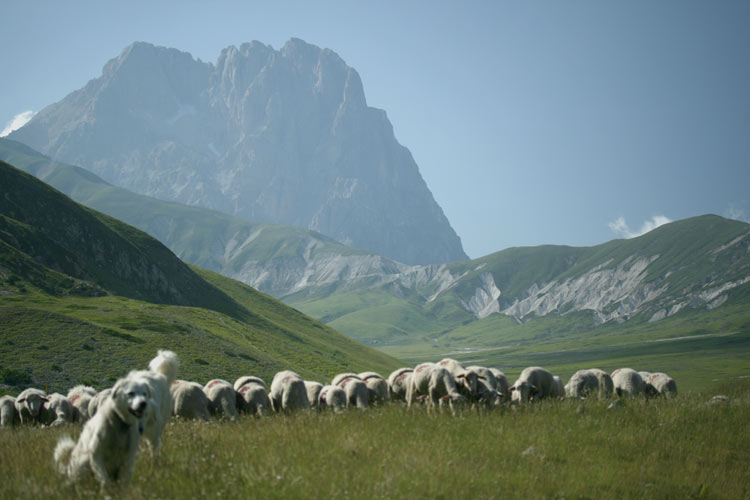 Parc du Gran Sasso