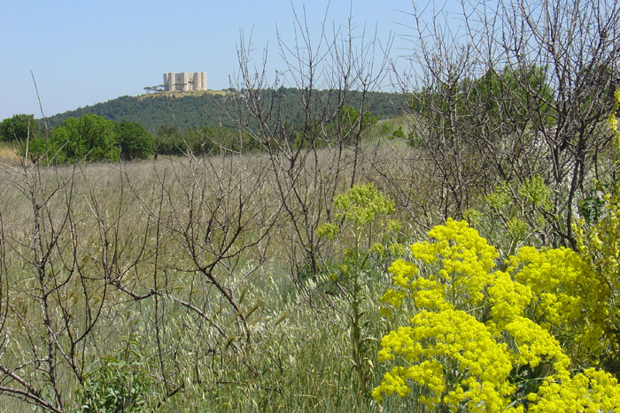 Castel del Monte