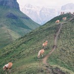 randonnées dans les Dolomites