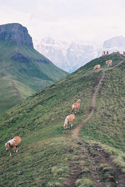 Randonnées dans les Dolomites