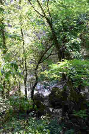 Parc des contes à gropparello