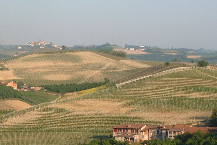 Grinzane Cavour et le vin Barolo