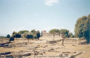 Paestum