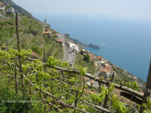 cote-amalfitaine-furore-55