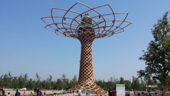 expo Milan 2015