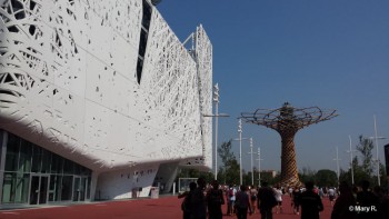 expo Milan 2015