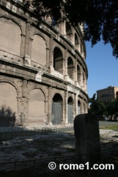 Les gladiateurs, héros du Colisée