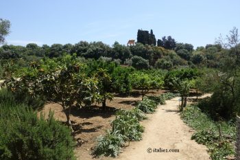 Jardin de Kolymbethra à Agrigente