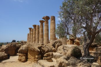 temple d'Héraclès d'agrigente vallée des temples