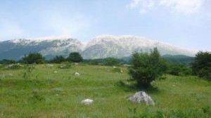 Parc de la Maiella