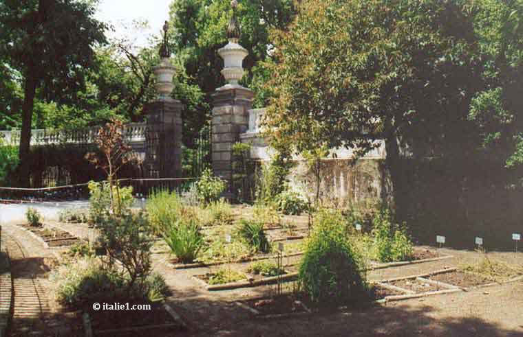 Jardin botanique de Padoue Orto botanico di padova